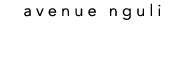 a v e n u e n g u l i