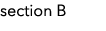section B