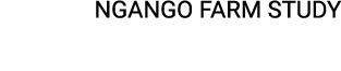 NGANGO FARM STUDY