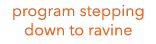 program stepping down to ravine